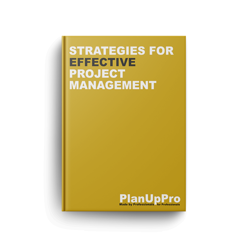 Strategies for Effective Project Management